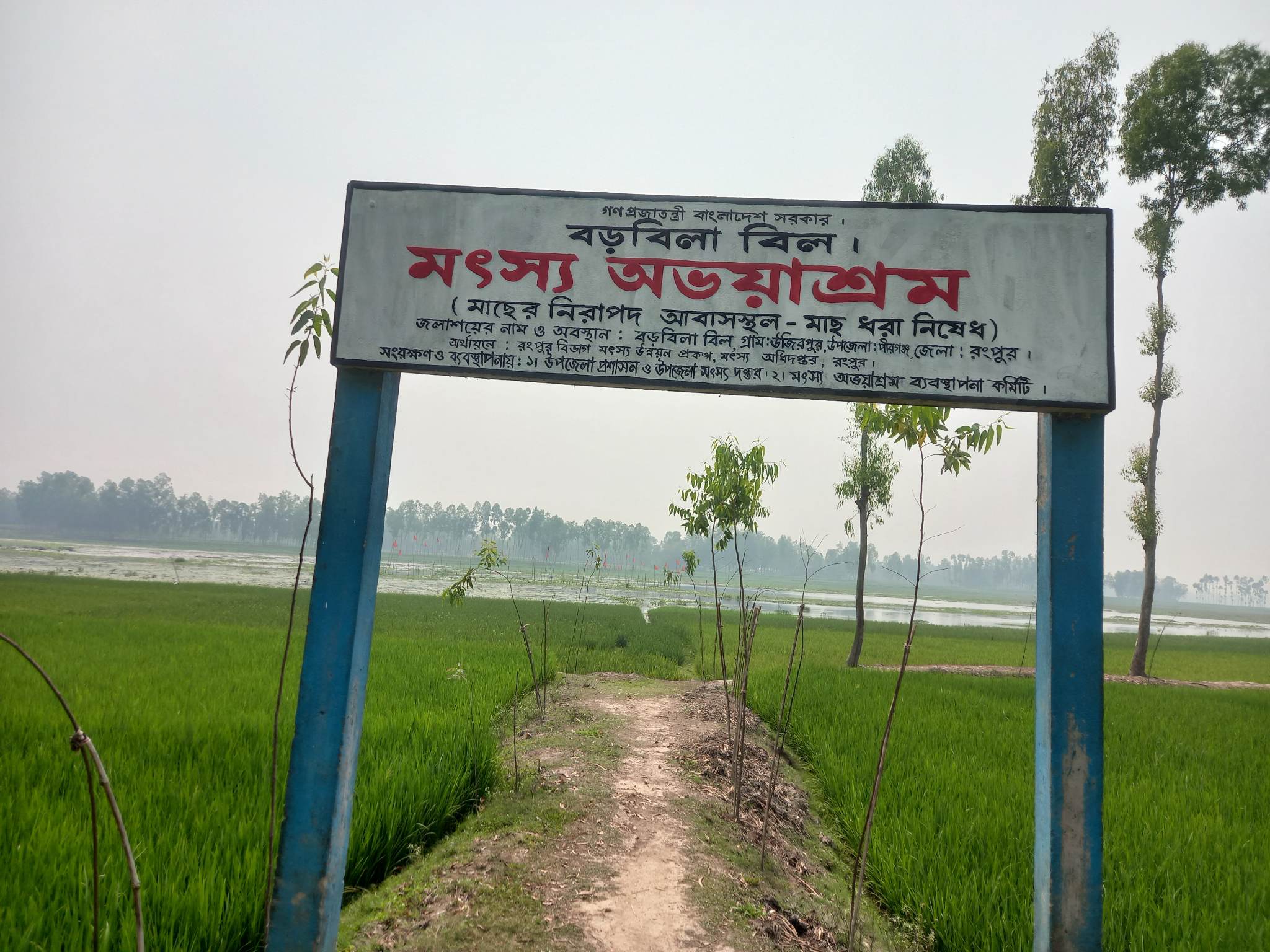 বড়বিলা বিল মৎস্য অভয়াশ্রম