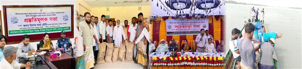 ব্যানার