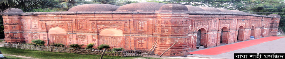 বাঘা মসজিদ