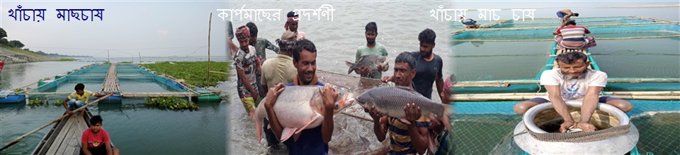 প্রদর্শণী