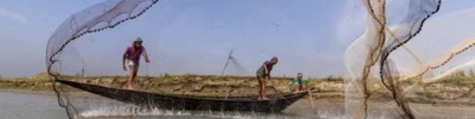 উপজেলা মৎস্য কর্মকর্তা কার্যালয়, রামগঞ্জ