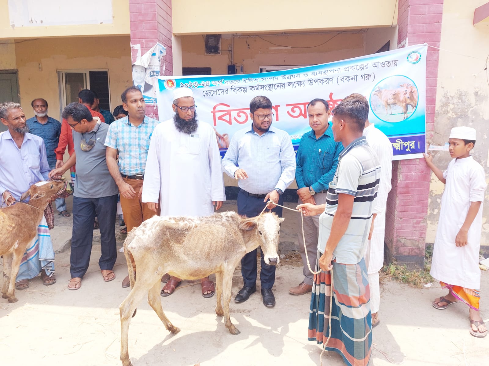 গরু বিতরণ