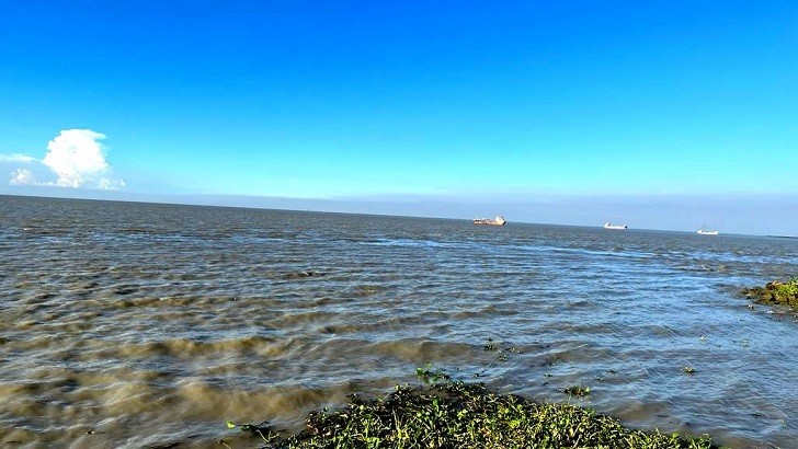 ইলিশ