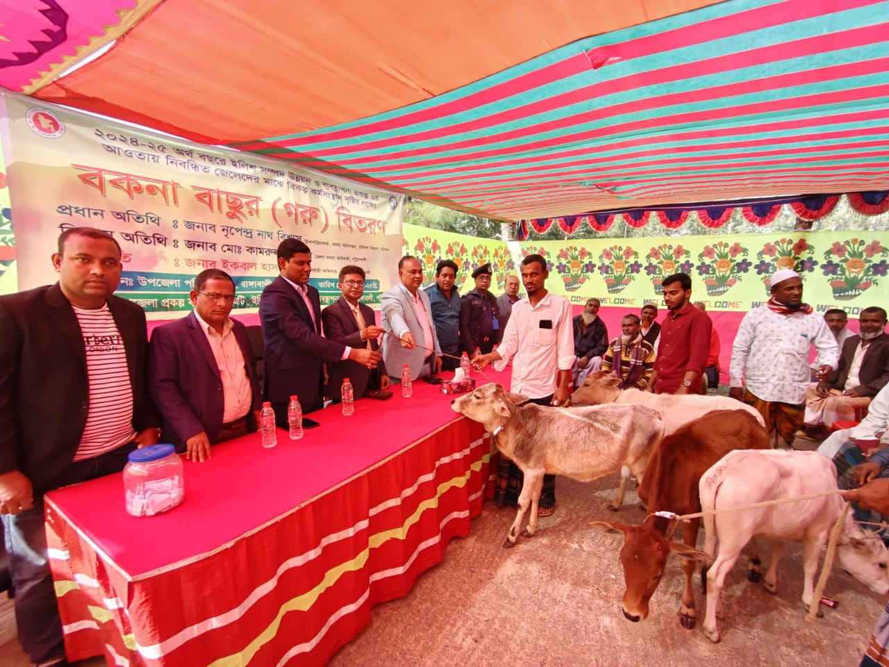 ২০২৪-২০২৫ আর্খিক সালে উপকরণ গরু (বকনা বাছুর ) বিতরণ