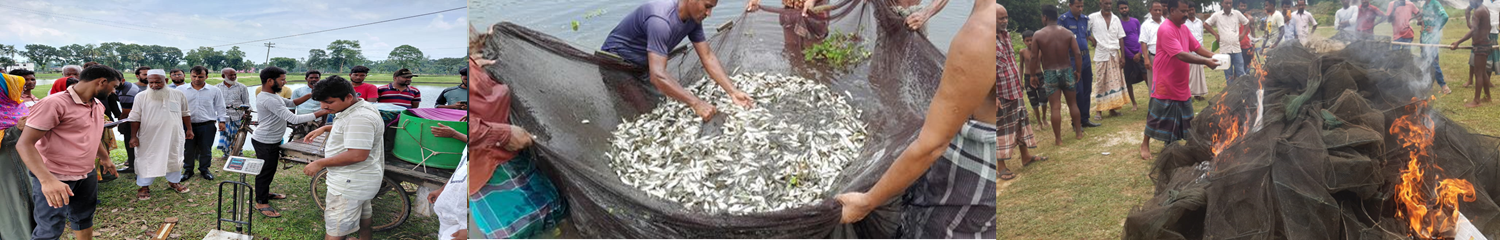 বিভিন্ন কার্যক্রম