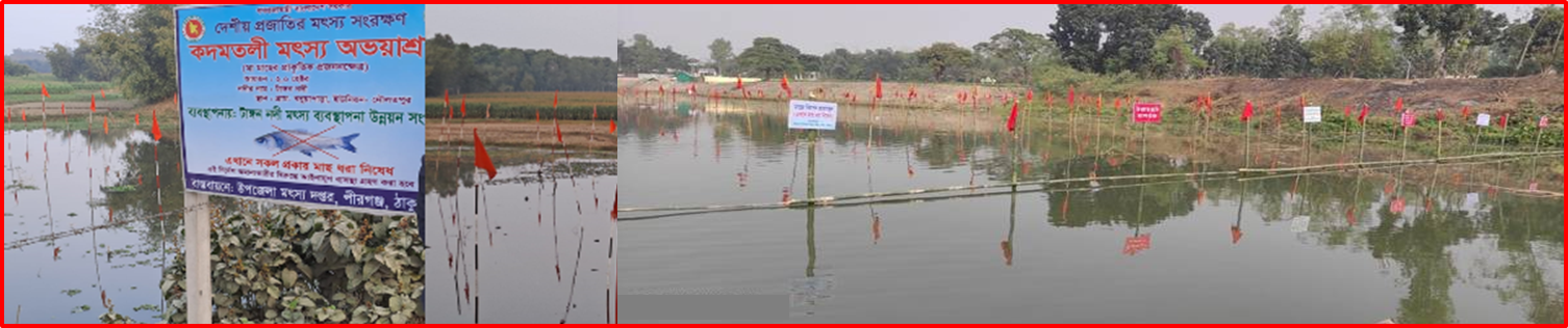 মৎস্য অভয়াশ্রম