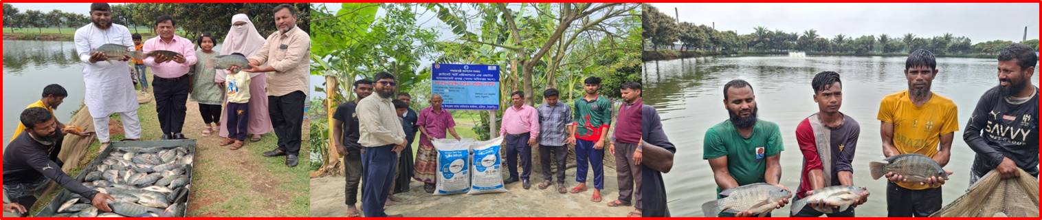 প্রদর্শনী