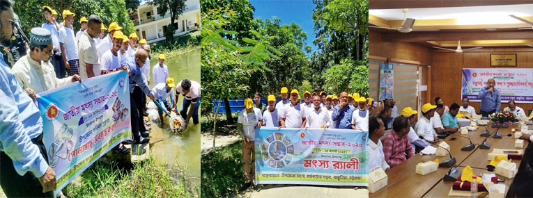 জাতীয় মৎস্য সপ্তাহ ২০২৫