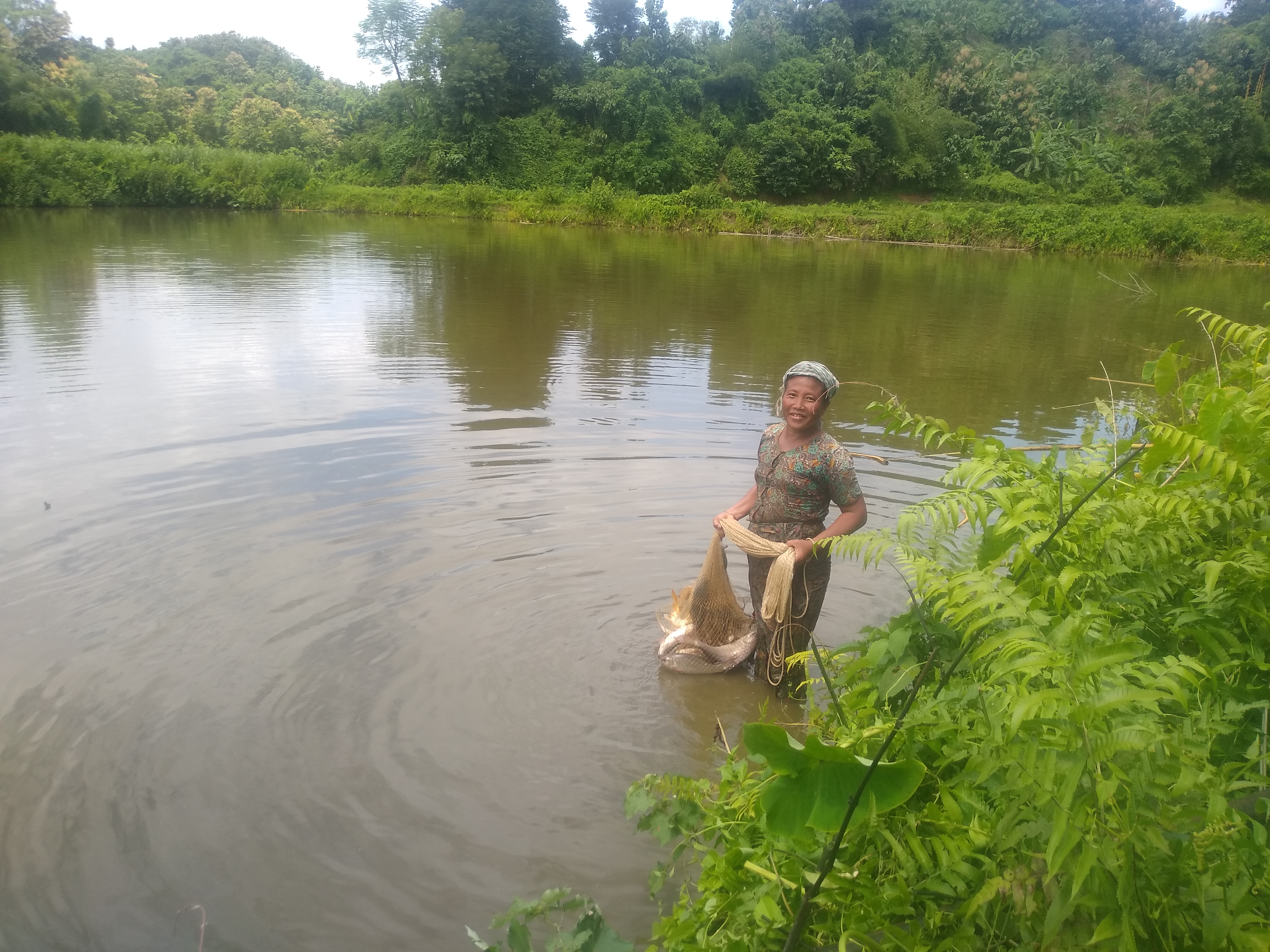 ই-সেবা কেন্দ্র, জেলা প্রশাসন