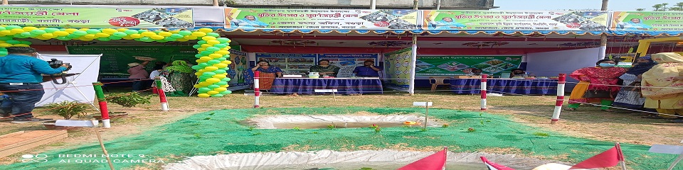 ব্যানার