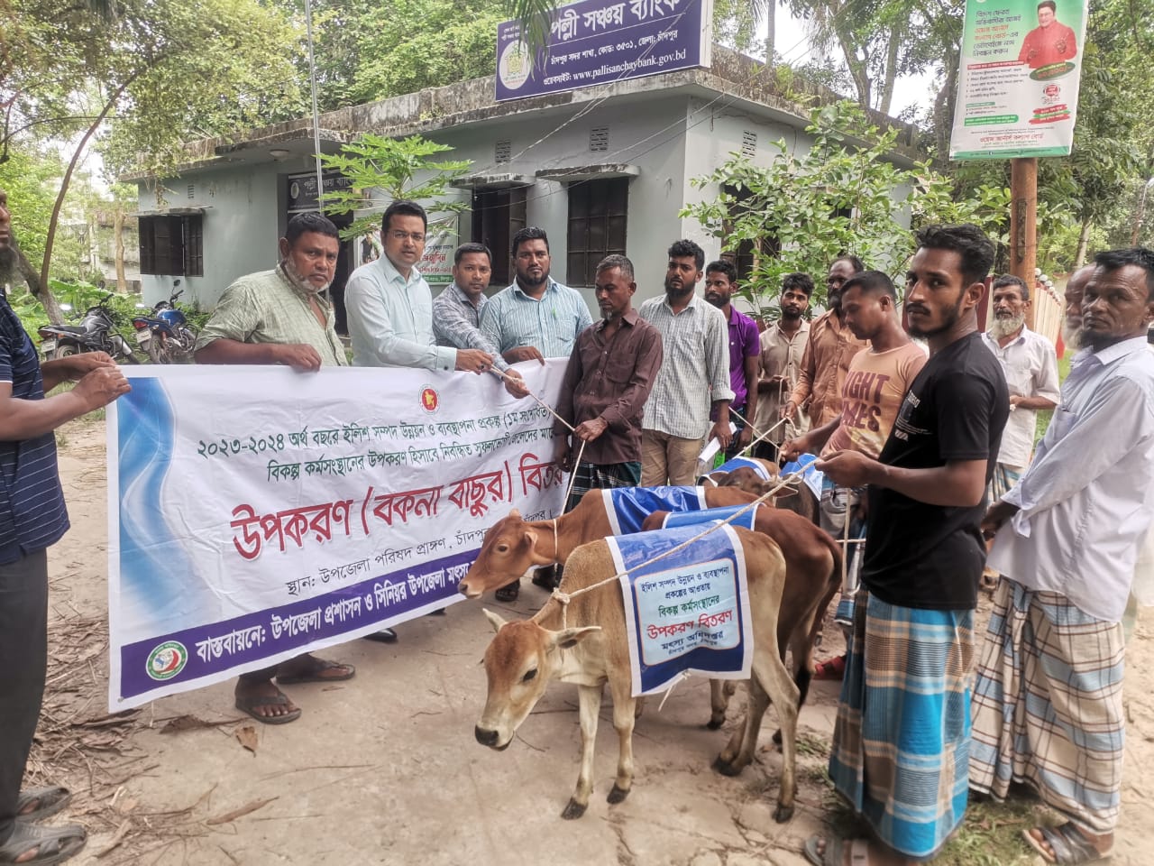 ২০২৪-২৫ অর্থ বছরে চাঁদপুর সদর উপজেলায় “ইলিশ সম্পদ উন্নয়ন ও ব্যবস্থপনা(১ম সংশোধিত) প্রকল্প” এর আওতায় মৎস্যজীবীদের মাঝে বকনা বাছুর বিতরণ