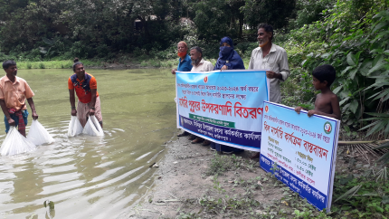 বিল নার্সারী স্থাপন