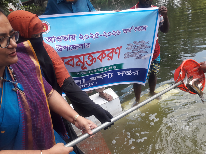 মাছের পোনা অবমুকাতকরণ ২০২৫