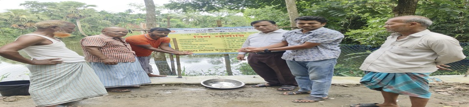 বিল নার্সারী