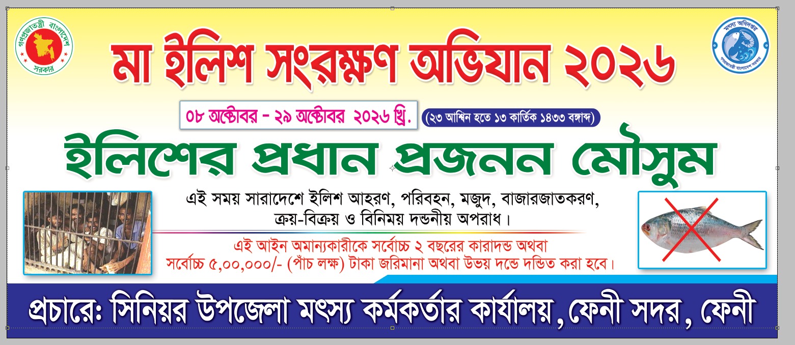 মা ইলিশ