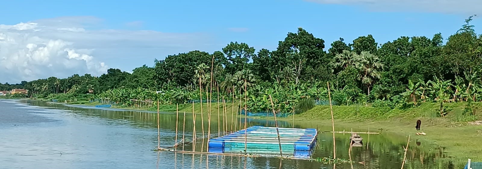 খাঁচায় মাছ চাষ বসুন্দিয়া