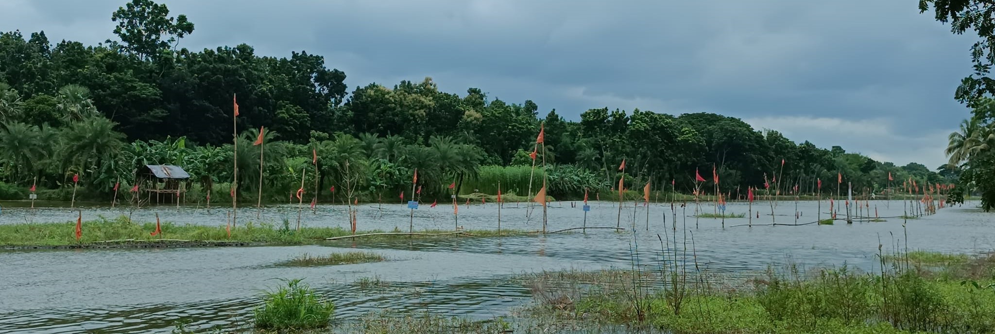 মৎস্য অভয়াশ্রম