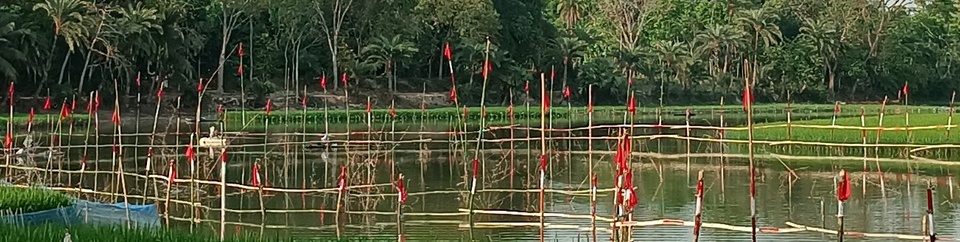 মৎস্য অভয়াশ্রম মেরামত