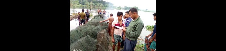 Fish Law implementation