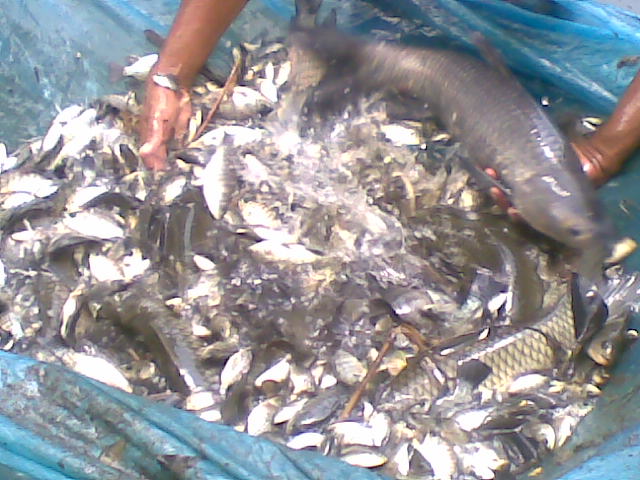 ফটোগ্যালারী