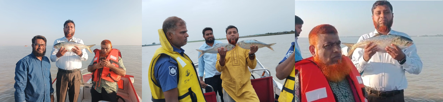 মা ইলিশ ২০২৫
