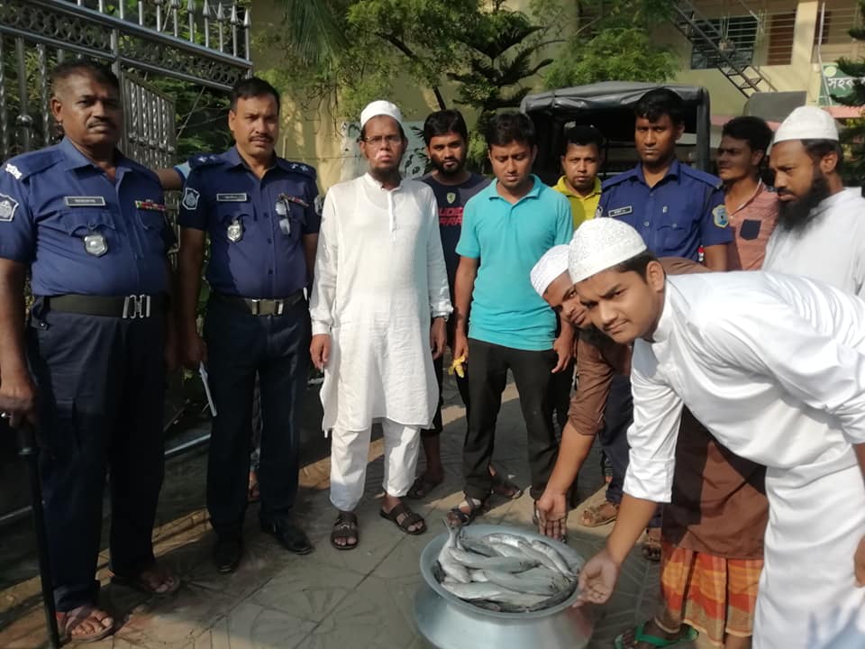 মা ইলিশ সংরক্ষণ অভিযানে জব্দকৃত ইলিশ মাছ বিতরণ