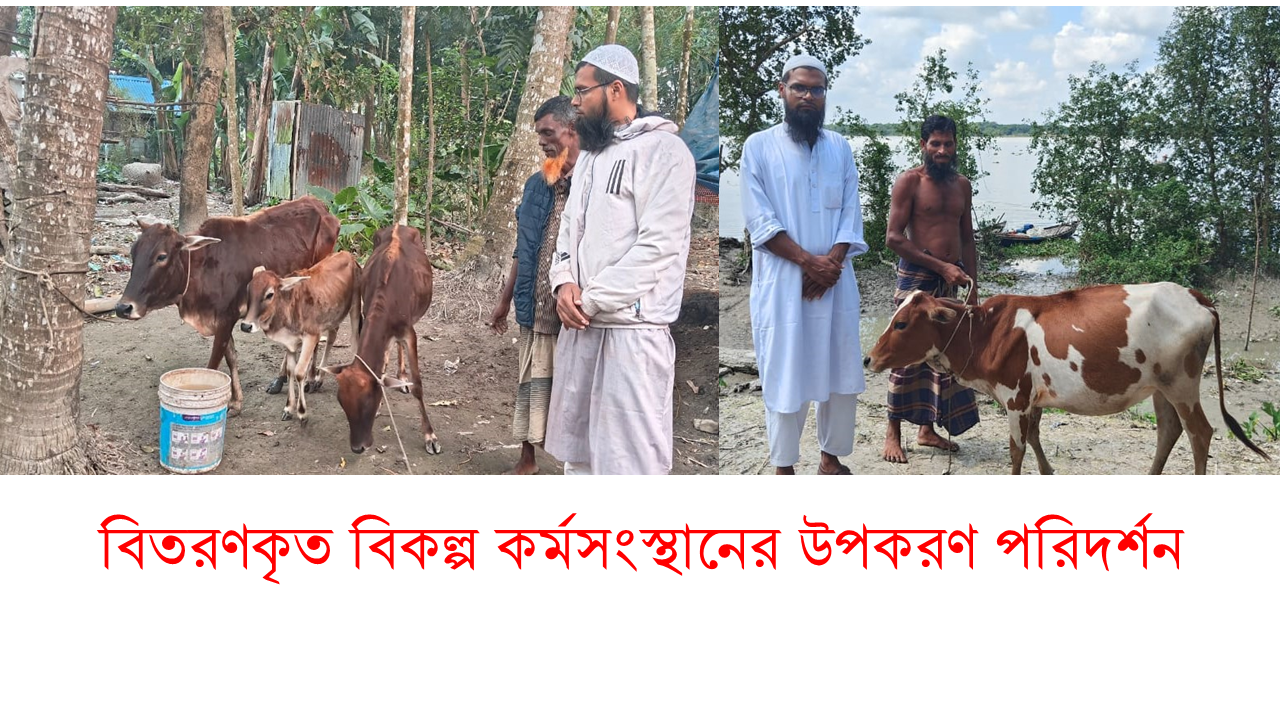 বিকল্প কর্মসংস্থানের লক্ষ্যে জেলেদের মাঝে বকনা বাছুর পরিদর্শন