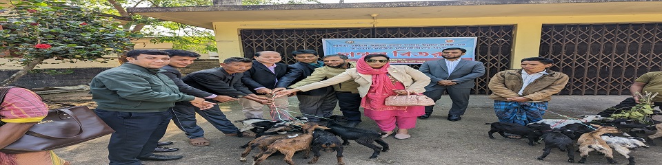 নিবন্ধিত জেলেদের মাঝে জনপ্রতি ০৬টি করে ছাগল বিতরণ