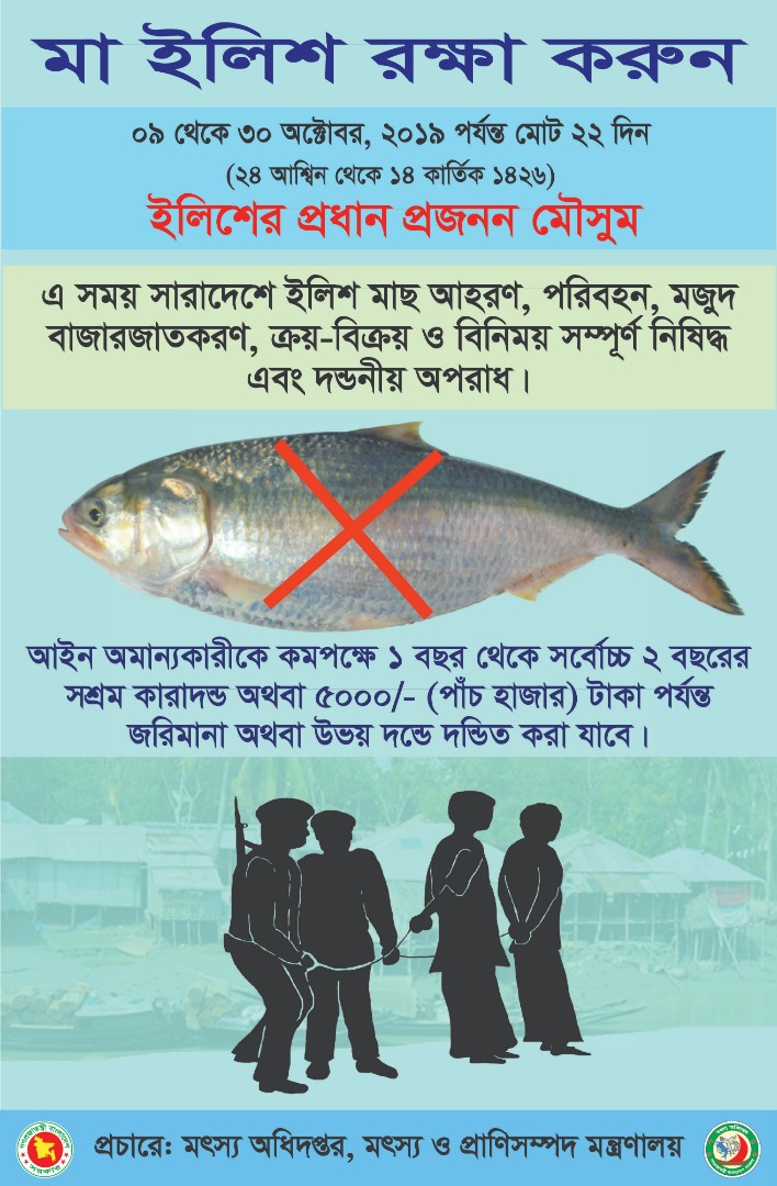 ইলিশের প্রধান প্রজনন মৌসুম