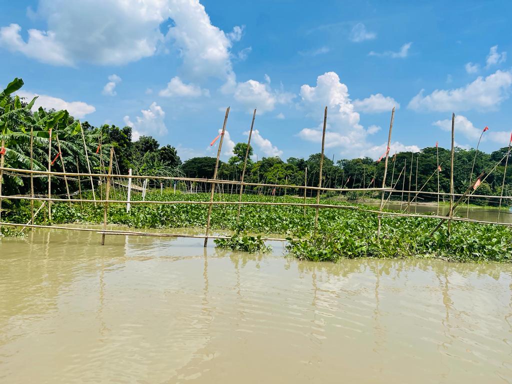 মৎস্য অভয়াশ্রম মেরামত