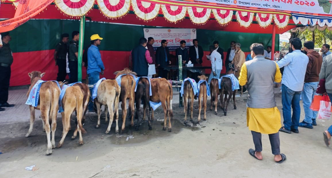 বিকল্প কর্মসংস্থনের লক্ষে বকনা বাছুর বিতরণ (১৭/১২/২০২৩)