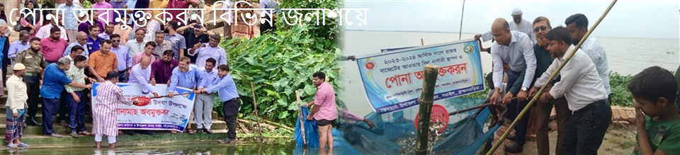 পোনা অবমুক্তকরন