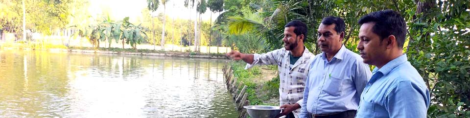 মৎস্য চাষির পুকুর পরিদর্শন ও পরামর্শ প্রদান