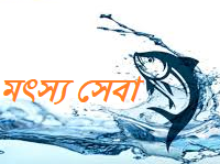 মৎস্য সেবা