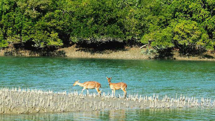 জেলা মৎস্য কর্মকর্তার কার্যালয়, সাতক্ষীরা