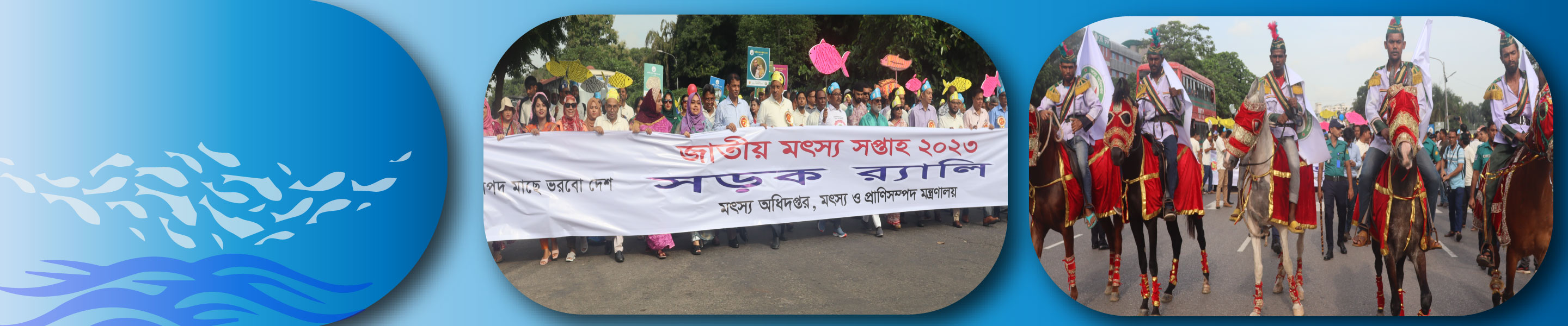 মৎস্য অধিদপ্তর