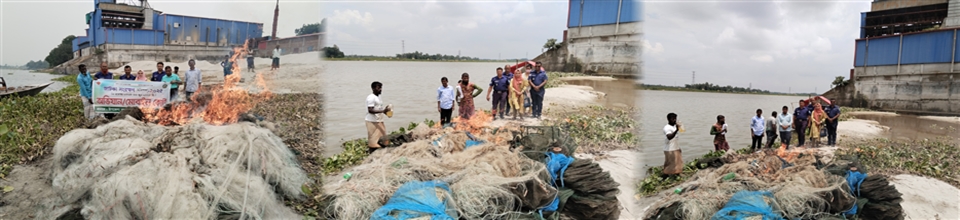 মৎস্য আইন