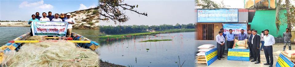 ব্যানার