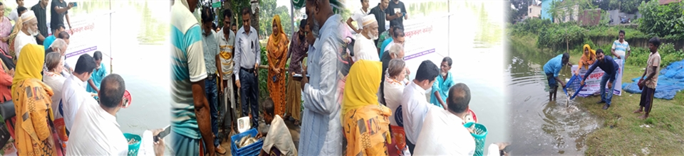 পোনা ছাড়া