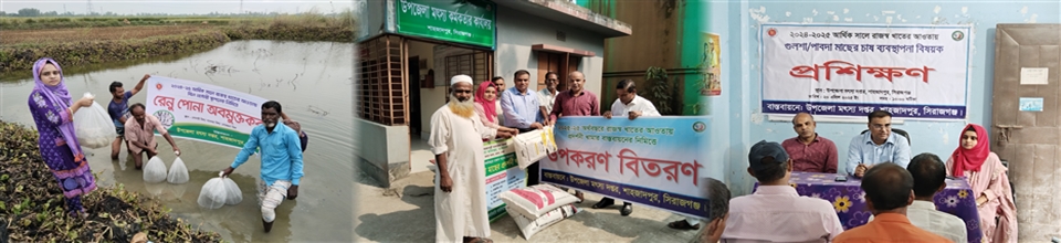 বিভিন্ন কার্যক্রম