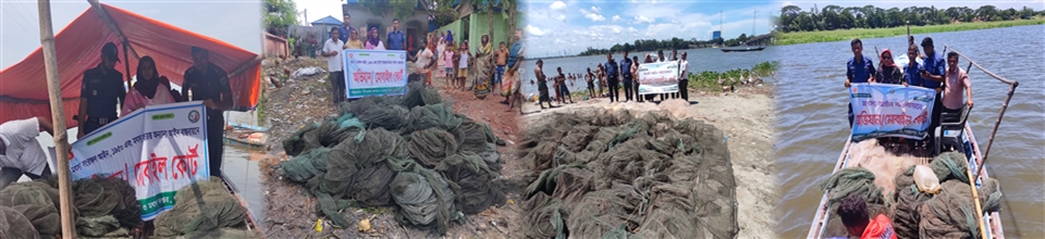 পরিদর্শন