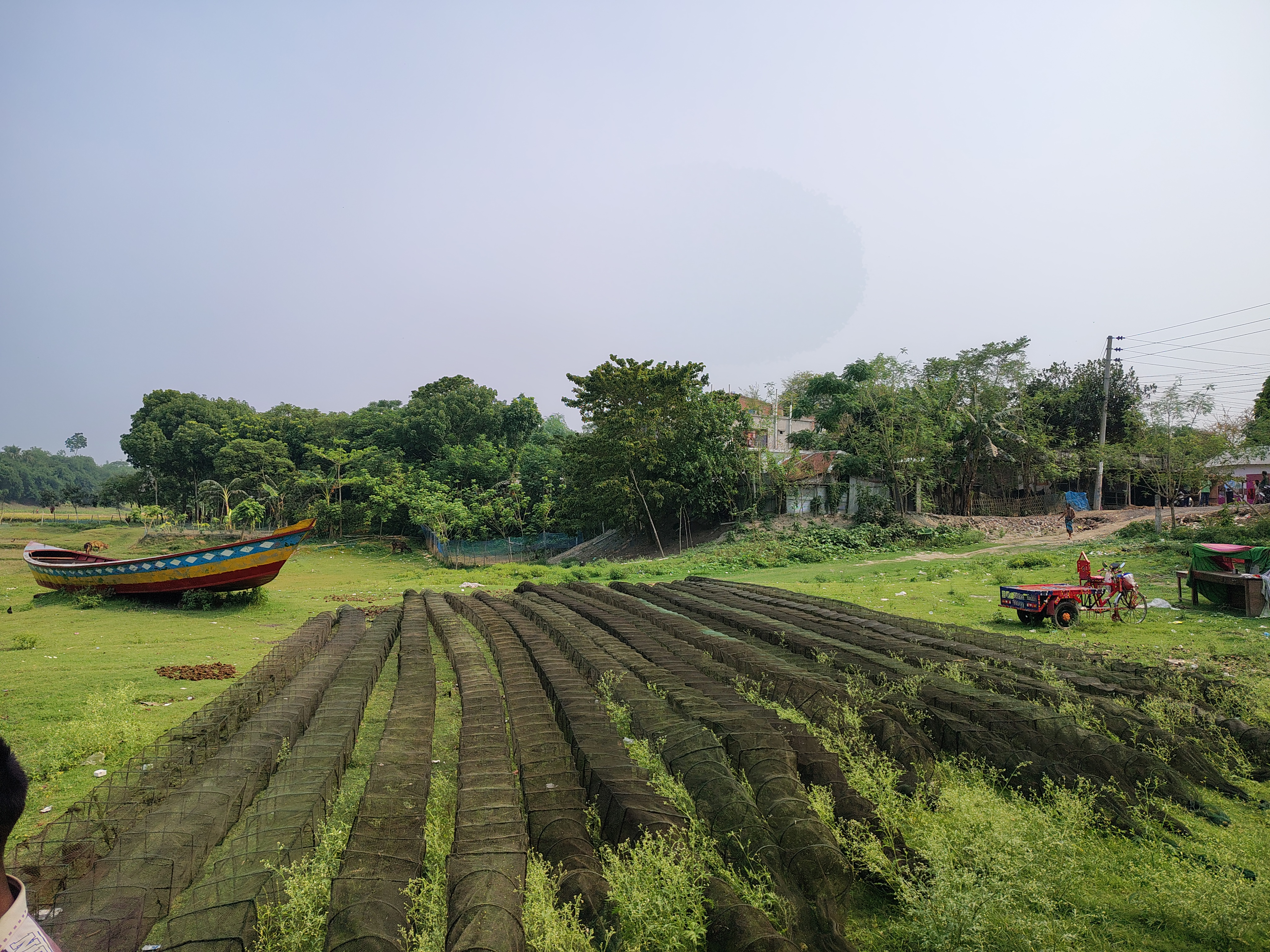 চায়না দুয়ারী