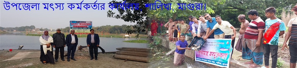 অফিস