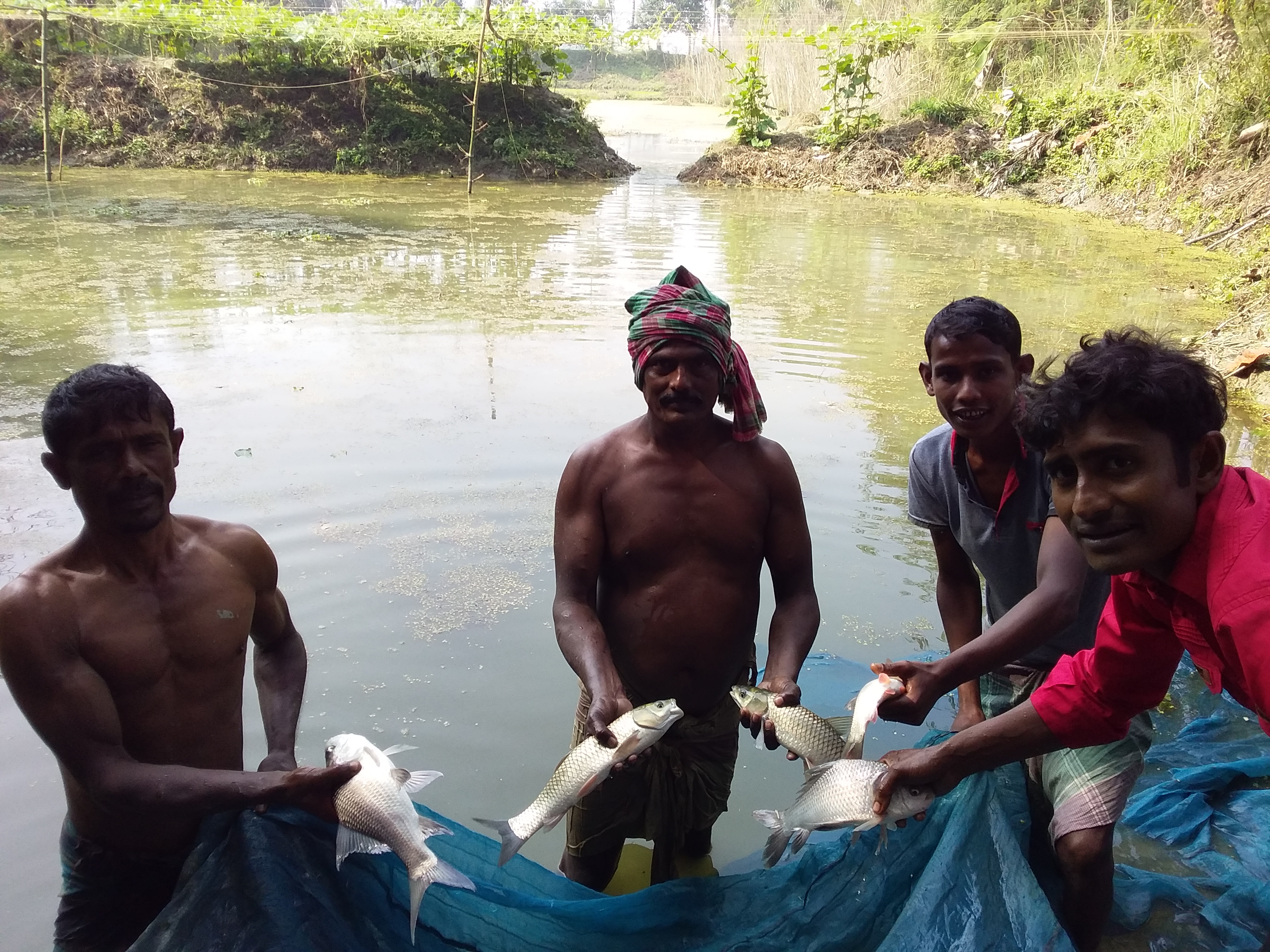 Service Process Simplification