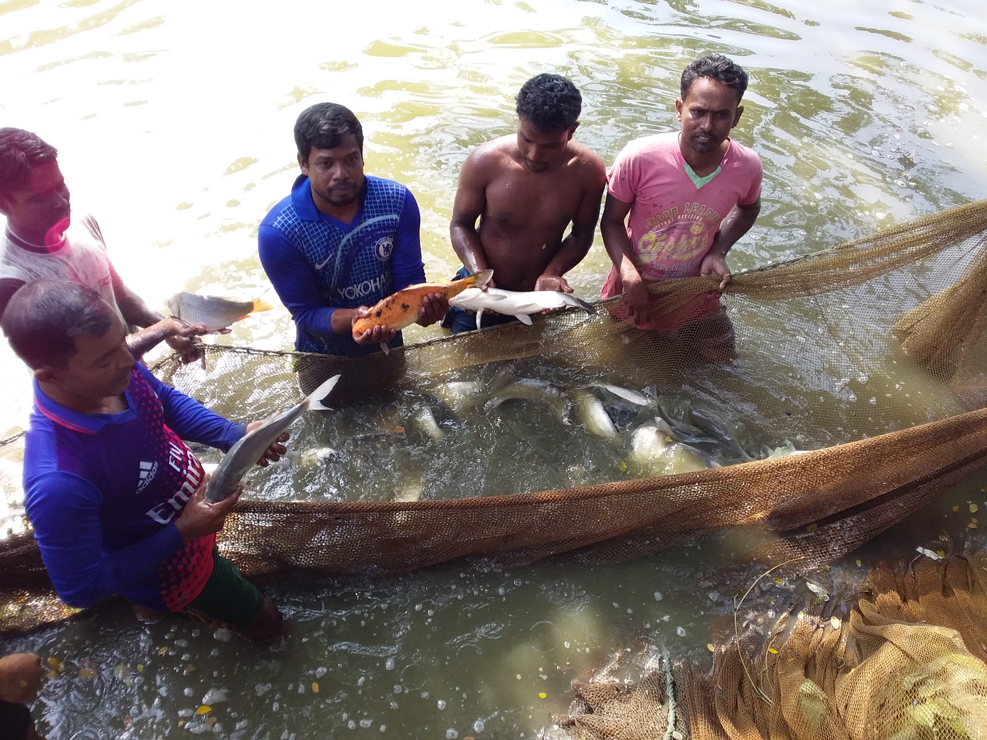 Service Process Simplification