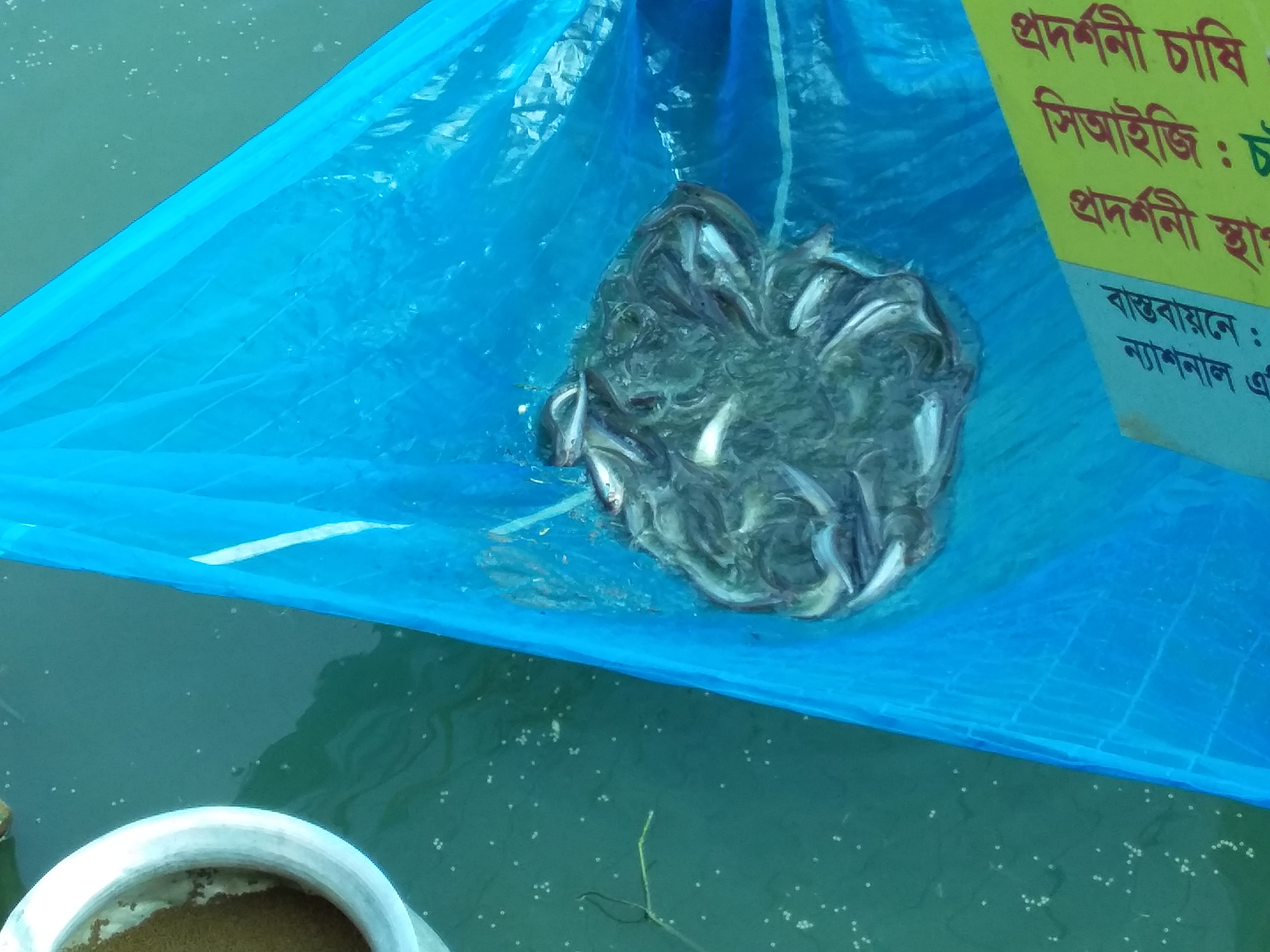 Service Process Simplification