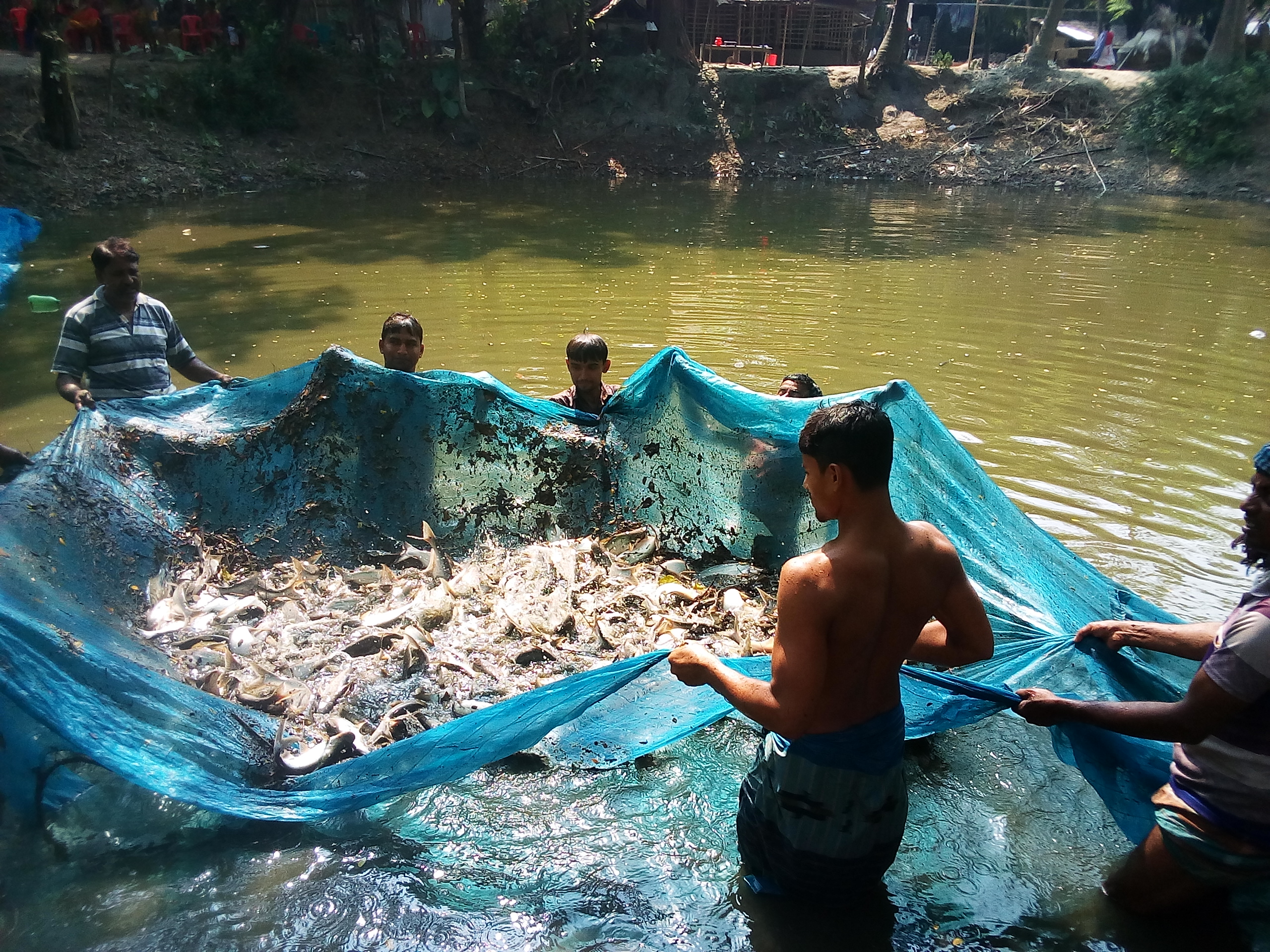 Service Process Simplification