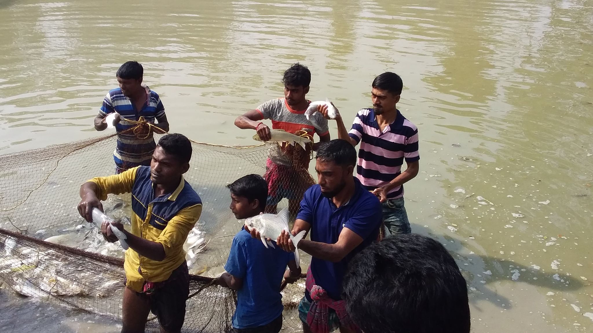 Service Process Simplification