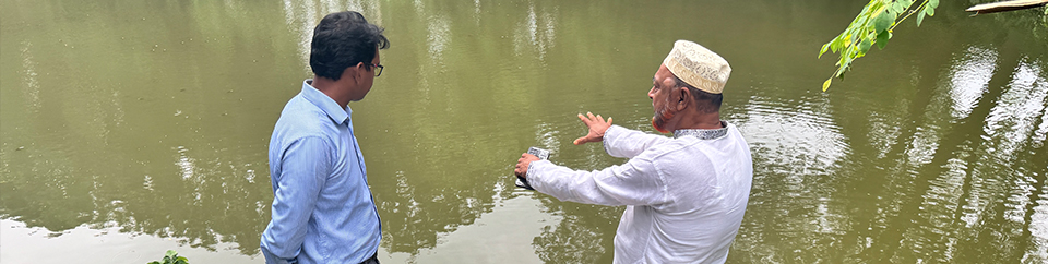 পুকুর পরিদর্শন