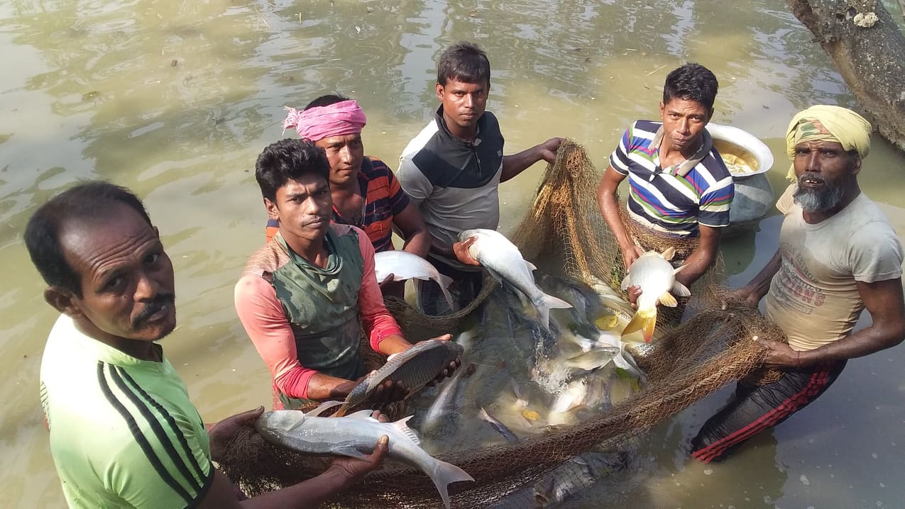 Service Process Simplification